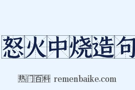 怒火中烧造句是什么意思的图片